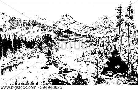 Illustration Of An Eagle Landing On A Rock With Mountainous Landscape Covered By A Forest Crossed By