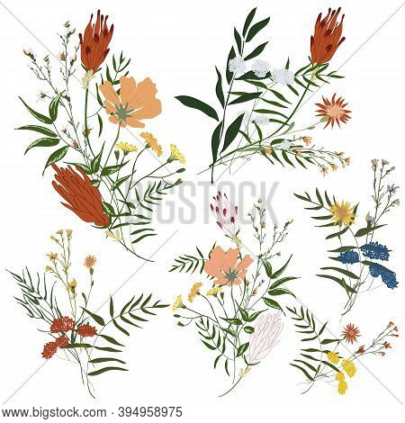 Hand Drawn Flower Collection. Various Flowers From Fields And Meadows In Bouquets. Big Botanical Set