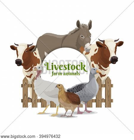 Farm Animals, Livestock And Poultry Banner. Donkey, Cow Or Bull Behind Wooden Fence, Turkey, Goose A