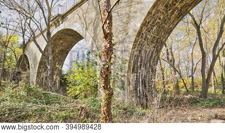 Autumn Woodland Scene, Beneath A Stone Arched Railway Bridge. Stained Brickwork, Bare Tree Trunks. T