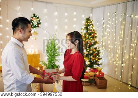 Handsome Young Asian Man Giving Juniper Tree To His Happy Pretty Girlfriend