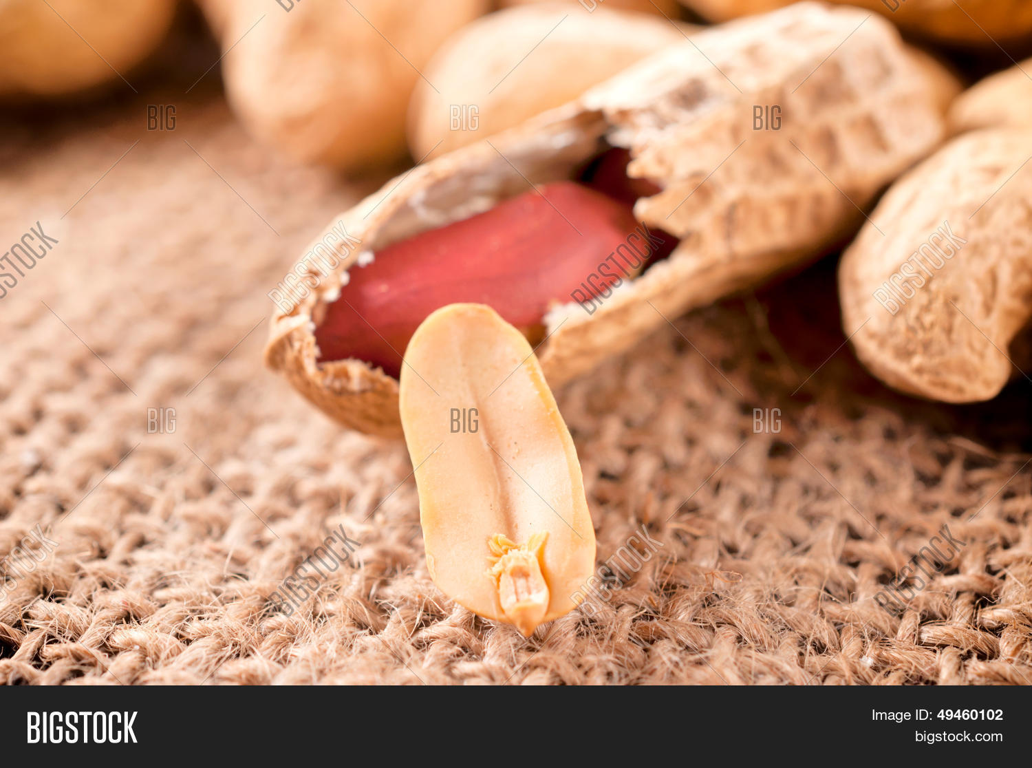 Image Preview