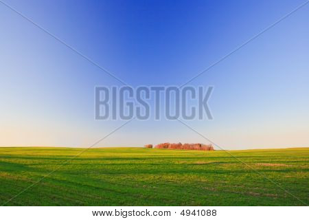 Groen veld en bomen