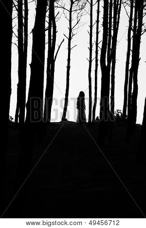 Silhouette Woman Between Trees