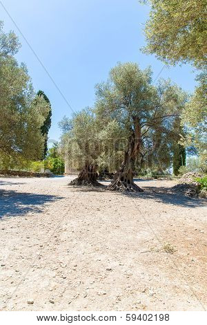 Monastery (friary) In Messara Valley At Crete Island In Greece. Messara - Is  Largest Plain In Crete