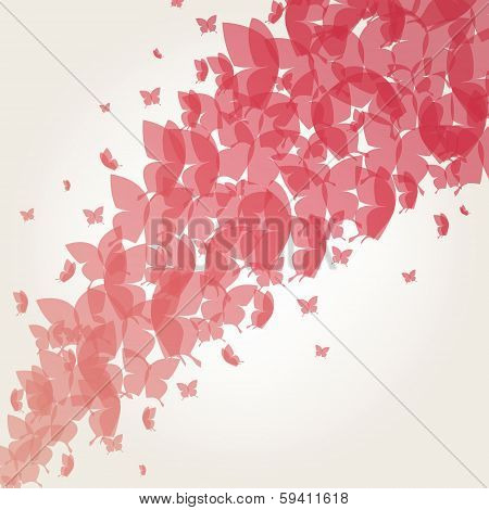 Abstract Butterfly Background - Vector Illustration Set