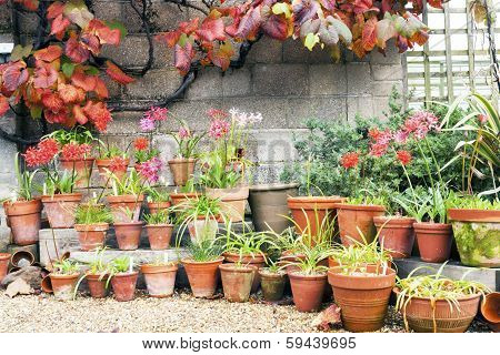 Flowerpots
