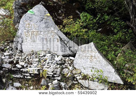 Special stone