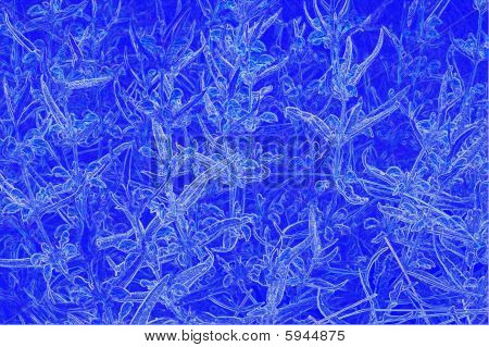 Entrelacs de glace