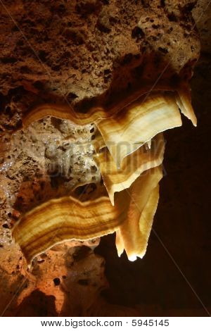 Calciet grot Bacon