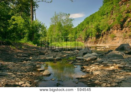 Creekside