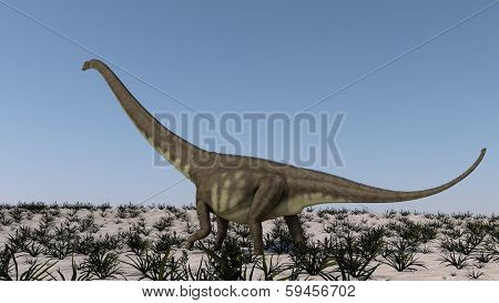 walking mamenchisaurus