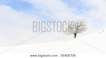 beautiful winter landscape in Sirnea, Romania