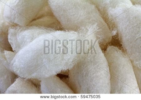 Closeup photo of Silkworm Cocoon 
