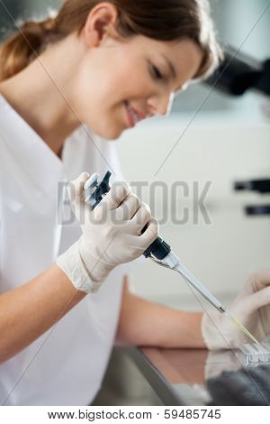 Young female technician using pipette in laboratory