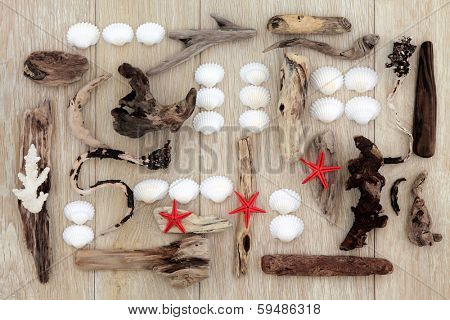 Sea shell and driftwood abstract design with red starfish over old oak background.
