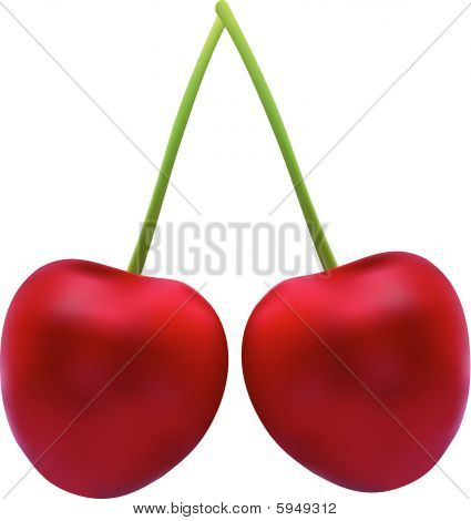 벡터 체리