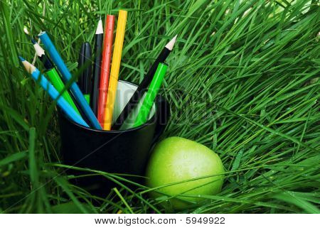 Apple und ein Glas Buntstifte sind auf dem grünen Rasen