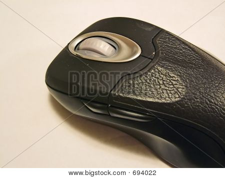 mouse_filtered