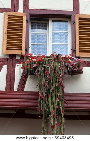 Window of a house in Eguisheim.