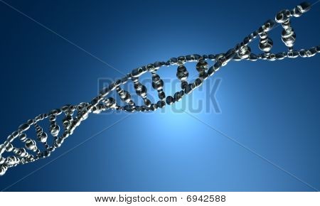 DNA