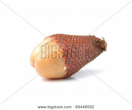 Salak Snake Fruit Isolated On White Background