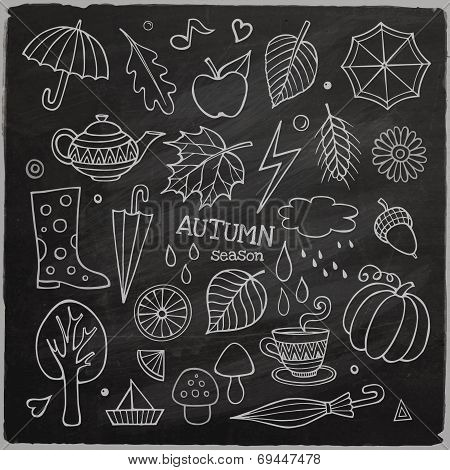 Vector set of different hand drawn autumn elements