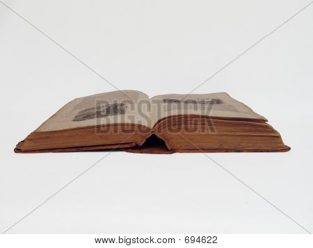 OpenBook1