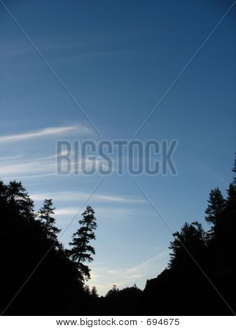 Skogen Vallet