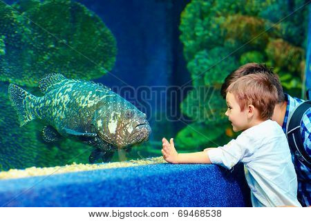 Happy Kid Communicating With Fish In Oceanarium