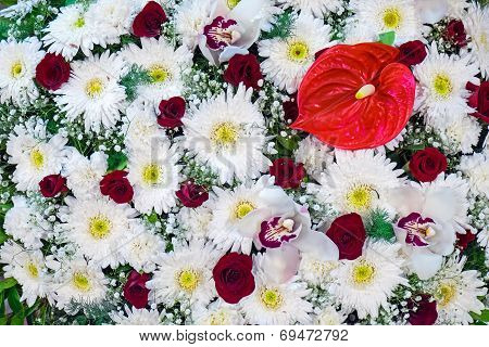 Gerbera, roses and laceleaf