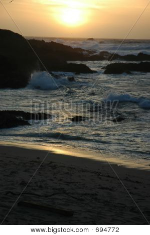 Pôr do sol e gaivotas