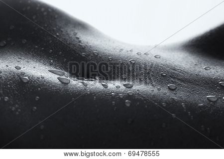 Bodyscape Of A Nude Woman With Wet Stomach And Back Lighting Artistic Conversion