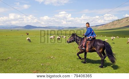 Boy riding a horse in a beautiful scenic view of nature.