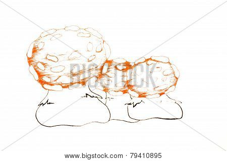 mushroom amanita