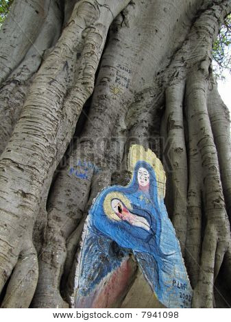 Ağaç dini Graffiti