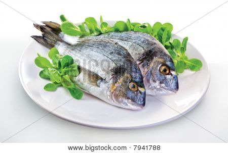 Dorada