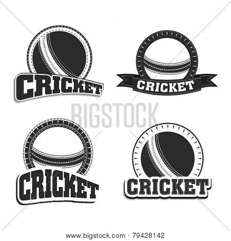 Retro style black and white badge and label with ball and text cricket, sports concept.