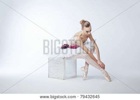 Ballet School