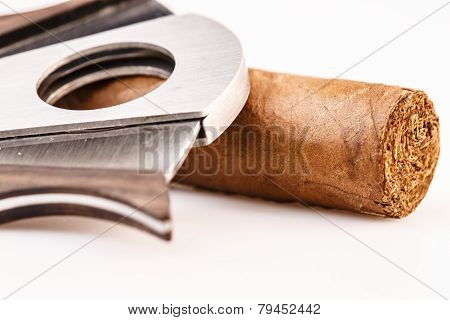 Cigar And Cutter On A White Background