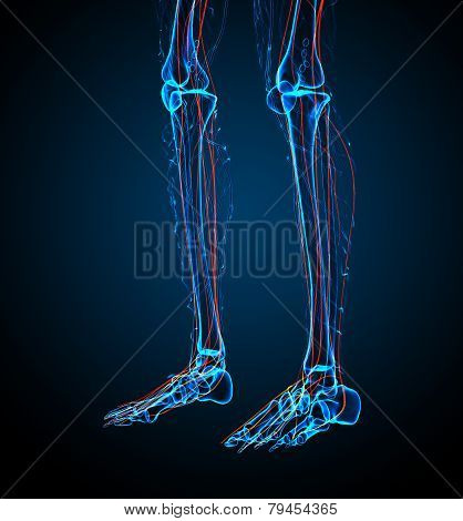 3D Render Medical Illustration Of The Nerve System