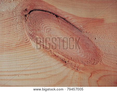 Pine Wood Background