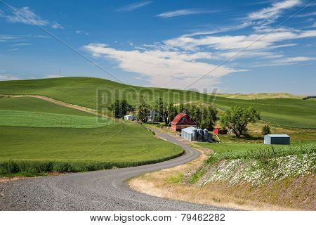 Red Barn And Daily Farm In Beautiful Countryside In Palouse