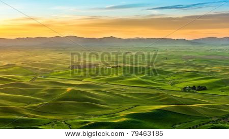Beautiful Landscape Of Crop Field In Palouse In The Morning