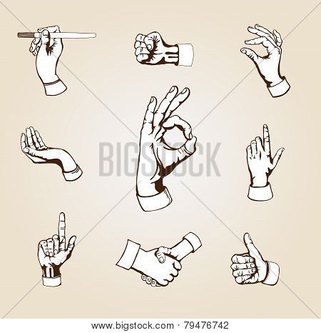 Vector hands.