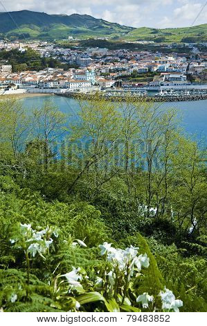 Terceira Island, Azores, Portugal
