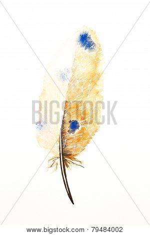 feather