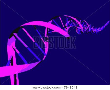 DNA purple