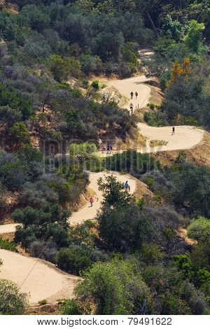 Sinuous Road On A Hill