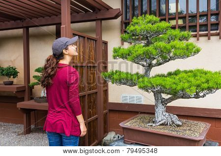 Woman And Bonsai